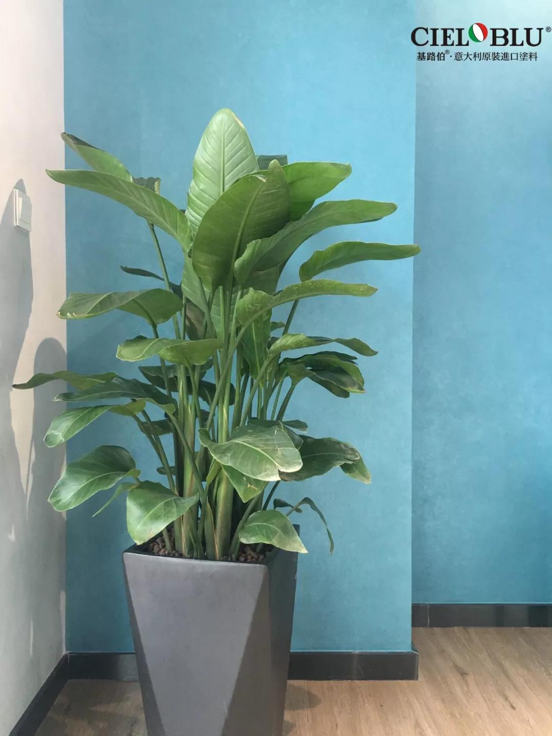 CIELOBLU基路伯佛山運(yùn)營中心牽手品牌一周年，涂裝體驗(yàn)再升級(jí)！(圖18)