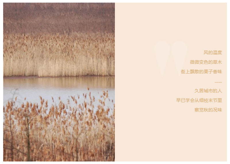 CIELOBLU | 基路伯「奶咖色」，為生活注入一份甜(圖1)